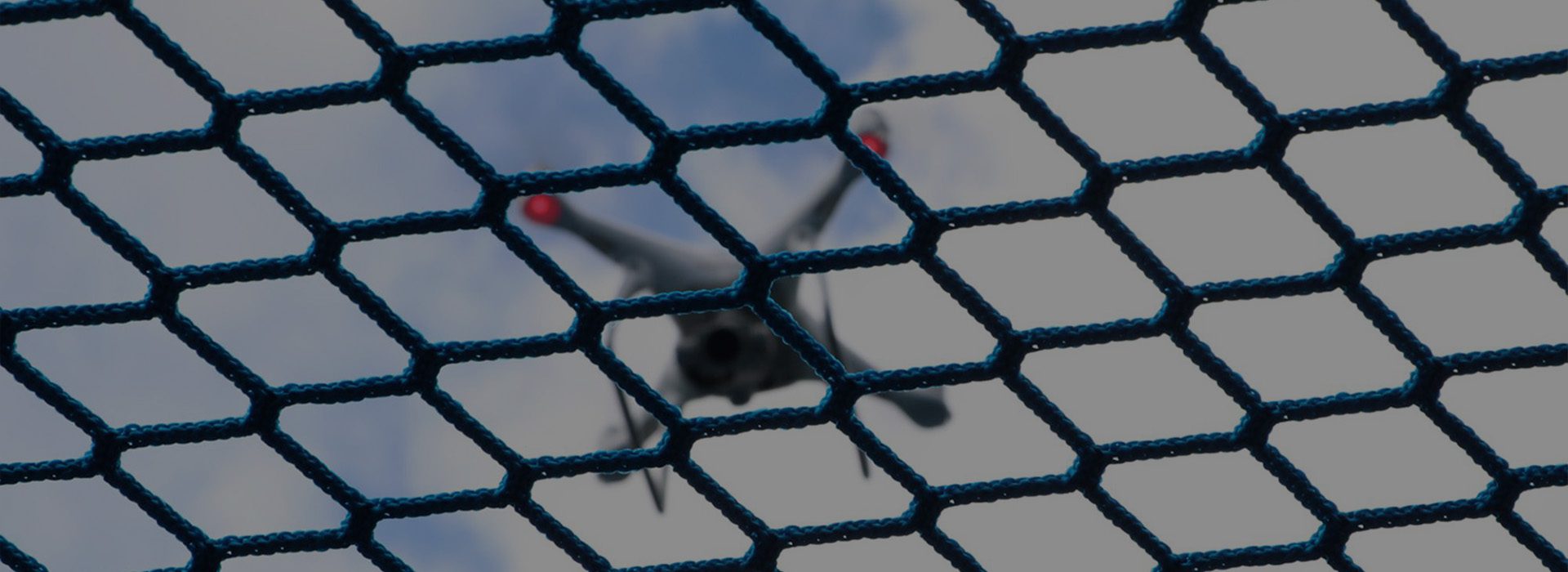Drone Netting