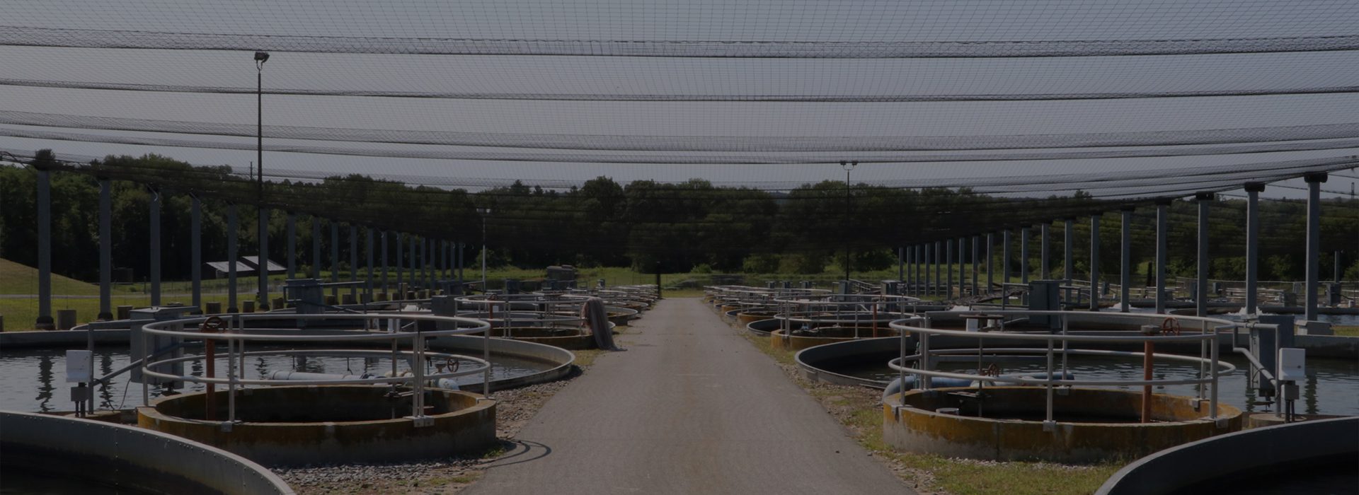 Environmental Banner