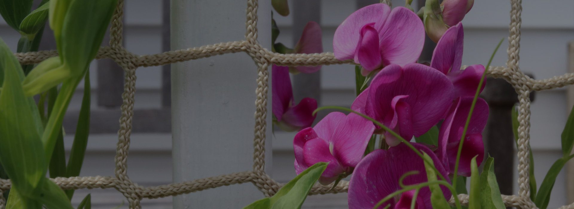 Home and Garden