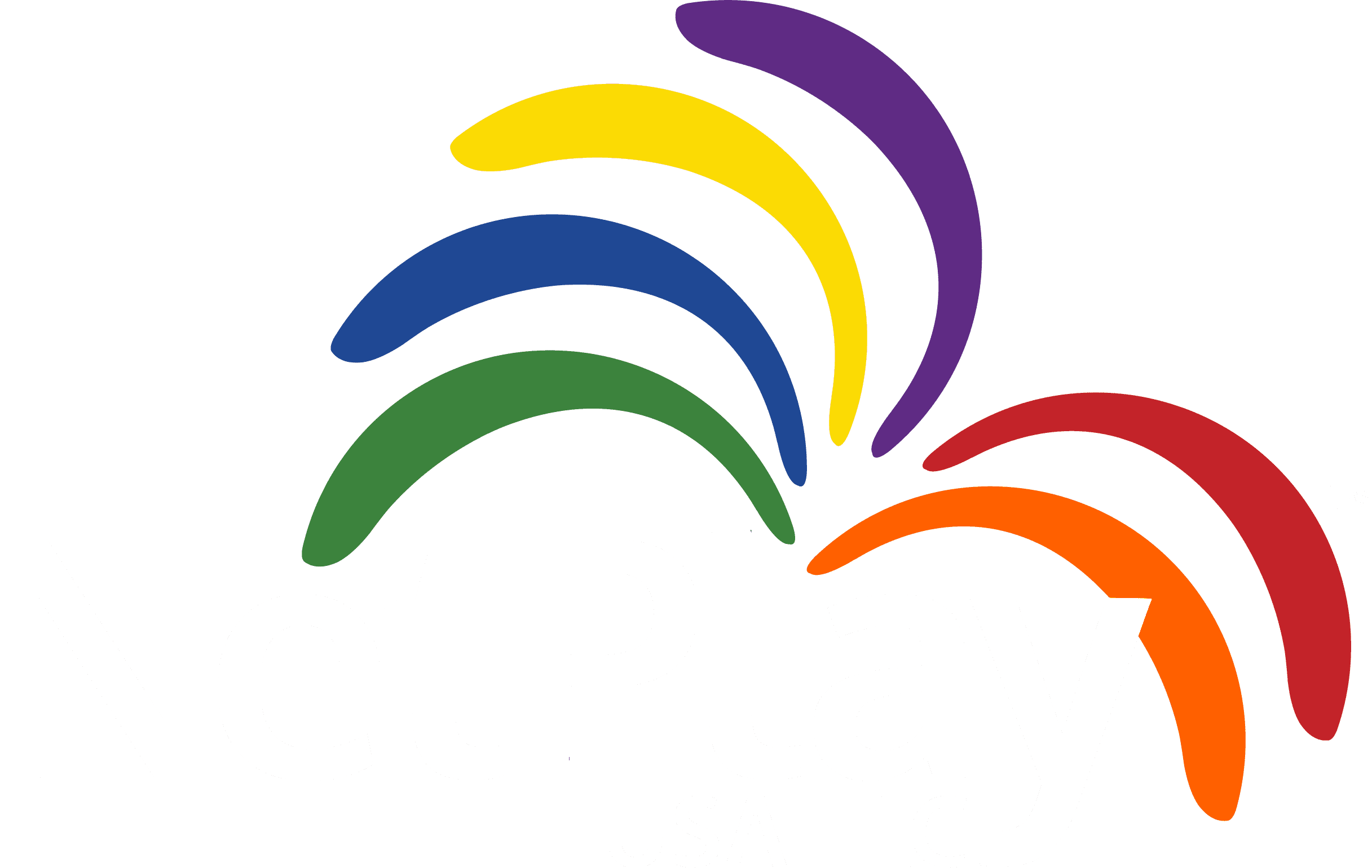 NetPlay Logo