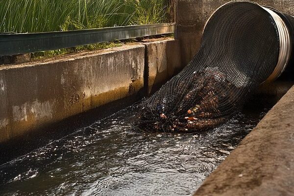 InCord StreamSentry_Drain Pipe Netting-web (10)