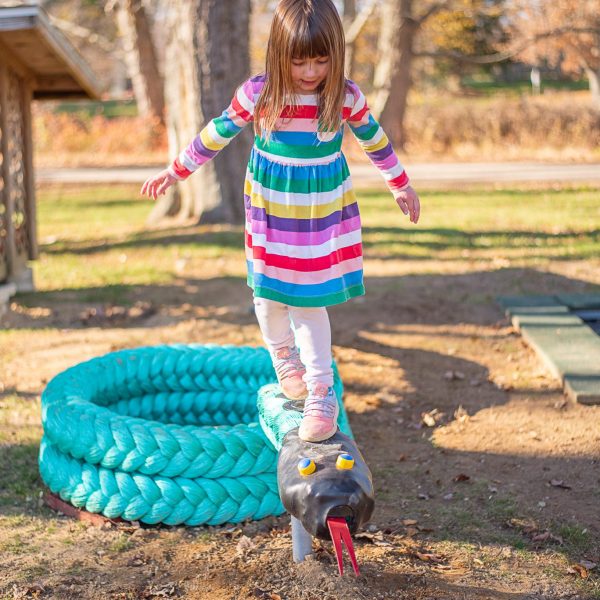 NetPlay Climber_Green Mamba 2024 (14)